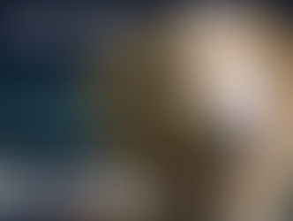 [TRAILER]: 'GOOD BOY's New Trailer Sends the Internet Into a Tailspin And It’s Earning That Wide Release ---- Tickets On Sale Now!