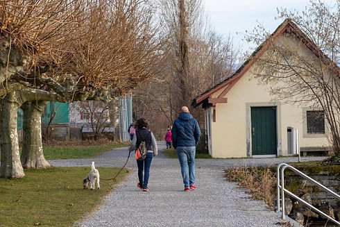 Männedorf Leinenpflicht.jpg