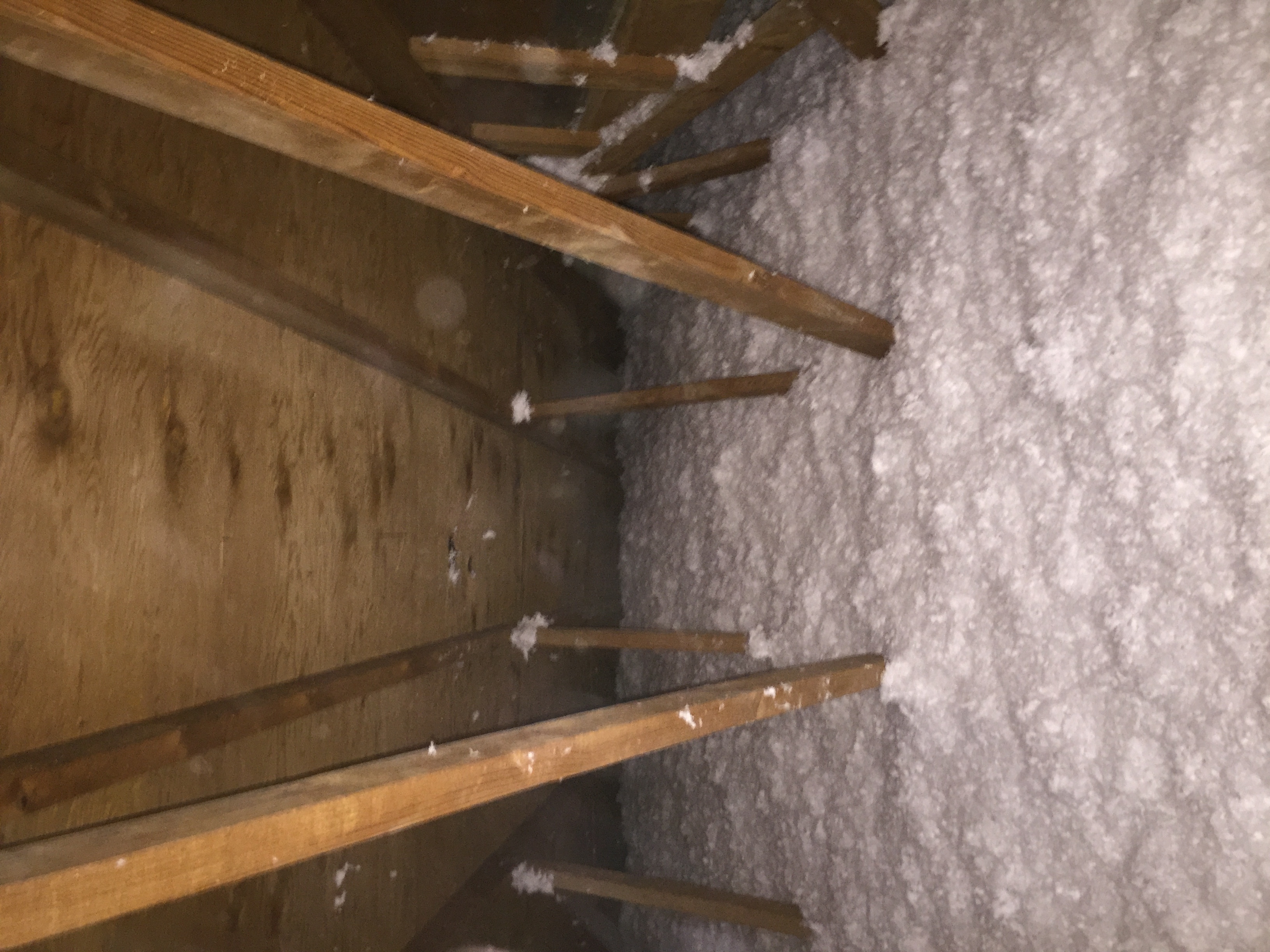 Thermo Shield LLC Fiberglass Attic Insulation