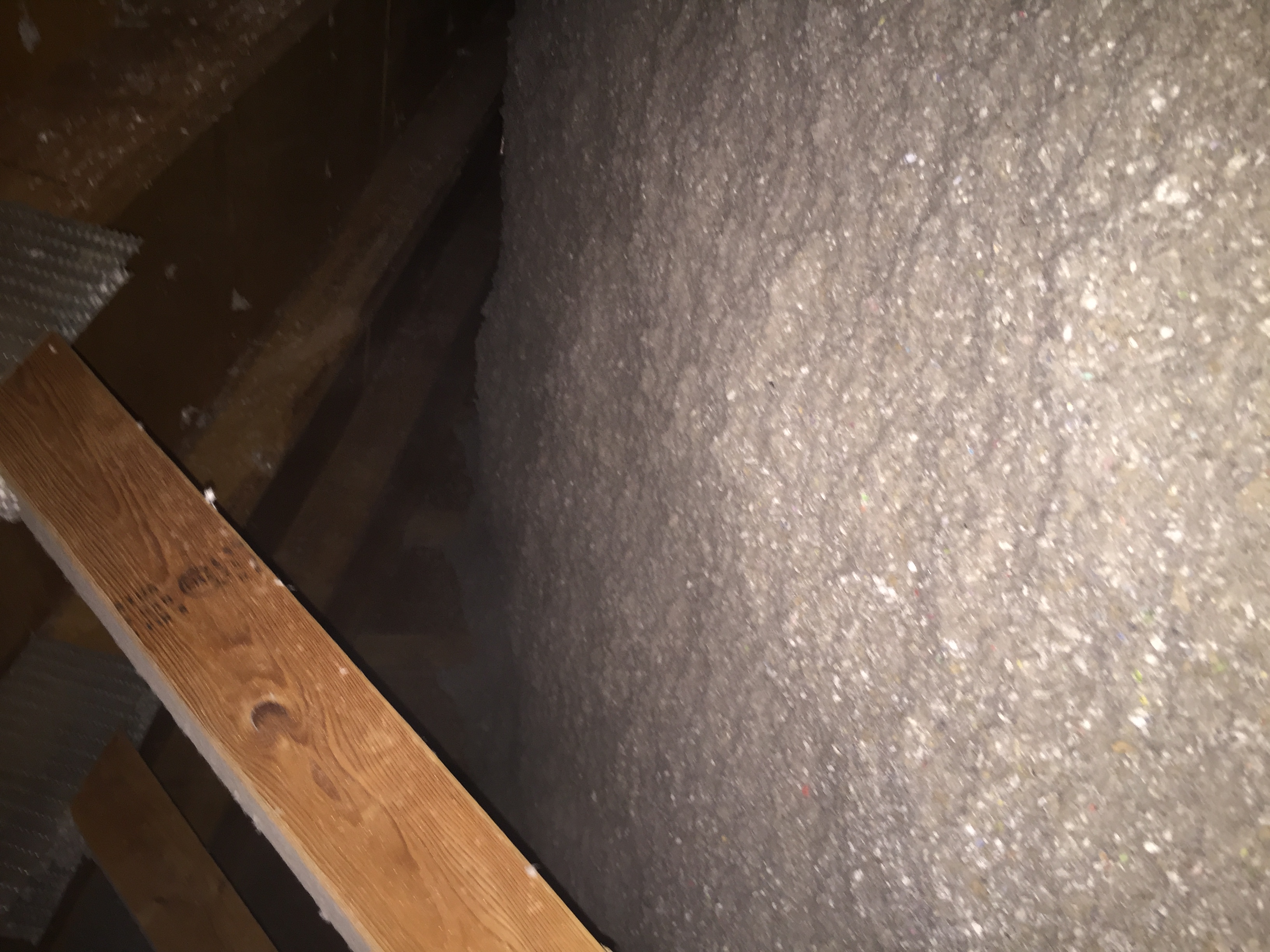 Thermo Shield LLC Cellulose Insulation