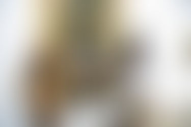 Art Basel shines in Opa-locka