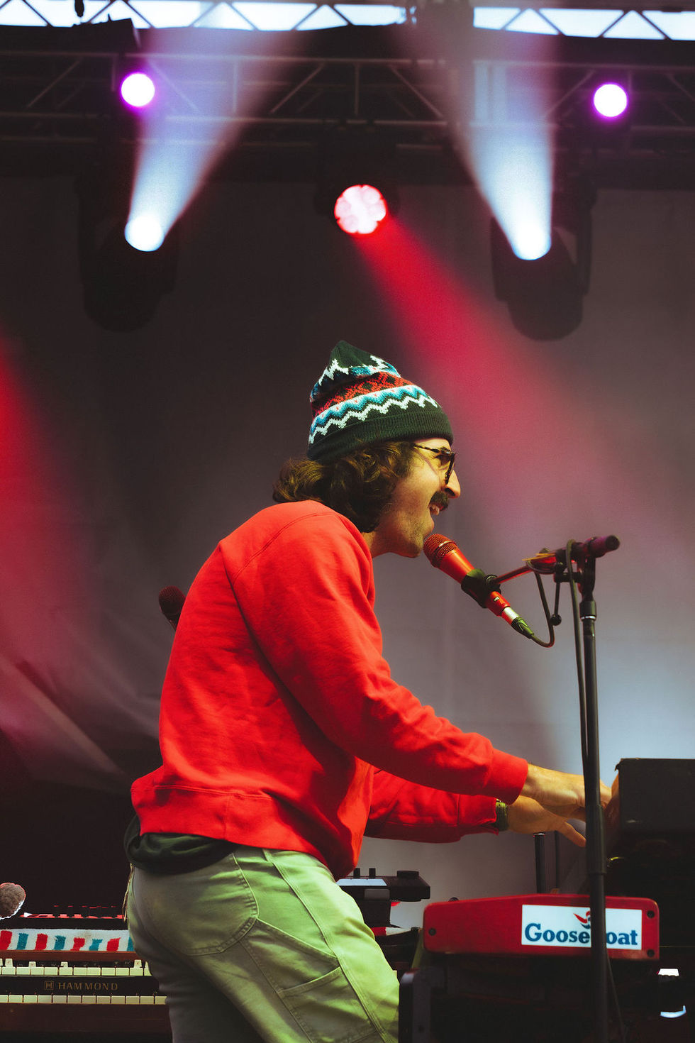 goose2