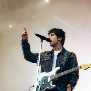 Wallows