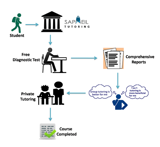 Sapneil tutoring model