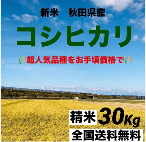 ゆきさん専用‼️  三重県産コシヒカリ 100%  15kg 新米 mumiekoshi5k_2new.jpg