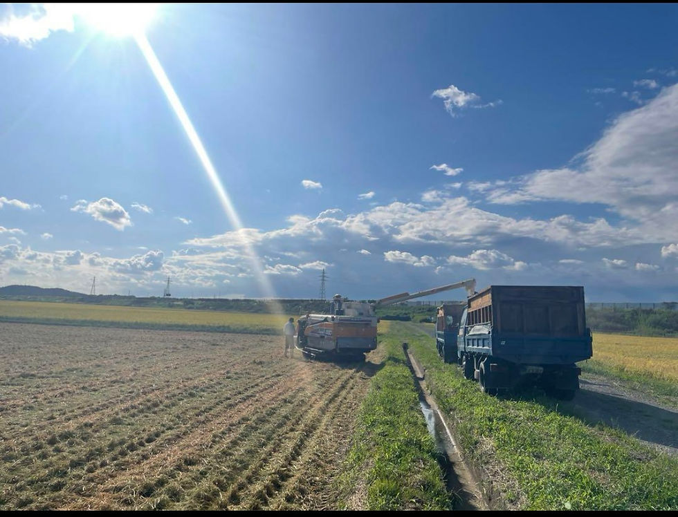 サムネイル： 【玄米】令和７年度　秋田県産　あきたこまち10kg