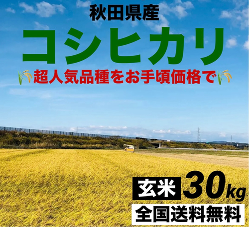 玄米】令和7年度 秋田県産 コシヒカリ30kg | 秋田のお米屋さん 玄米】令和7年度 秋田県産 コシヒカリ30kg | 秋田のお米屋さん