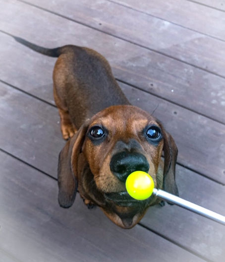 Why I Always Train Targeting