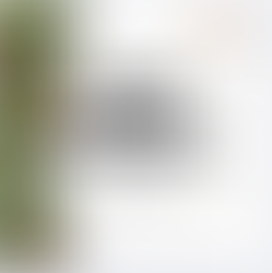 Welcome New Members to the FNC Freight Network