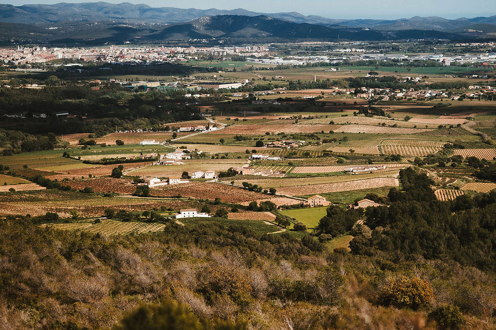 A view of the Catalan countryside.