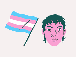 Our Top 10 Transgender Training Programmes.