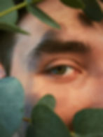 A closed cropped photo of a person with pale skin, showing only their eye and eyebrow amongst leaves in the foreground.