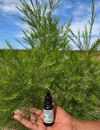 Essential Tea Tree Oil from TMM