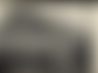 Povolání předků: ŠENKÝŘ