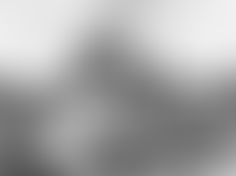 Povolání předků: Měšťan