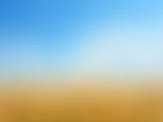 Golden wheat field with pink wildflowers under a bright blue sky and fluffy white clouds