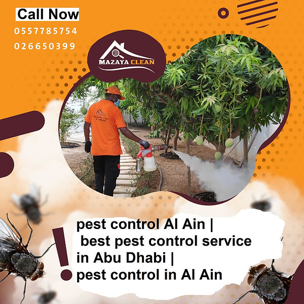 pest control in Al Ain | MAZAYA PEST CONTROL | pest control Al Ain