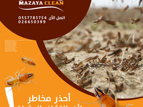 Baniyas Pest Control Service | 100% Safe and Reliable | pest control in Baniyas
