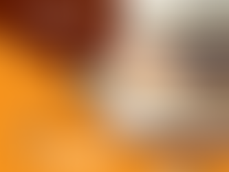 Pest control Falah city - best pest control service in Falah city - pest control in Al Falah