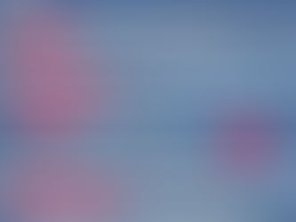 2G/2G+-Regel (Schaubild)