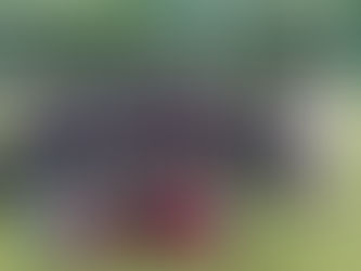 wU12 - Doppelspieltag