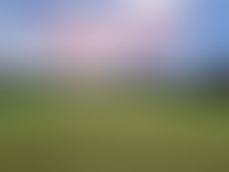 Platzreinigung 10.03.-12.03.2025