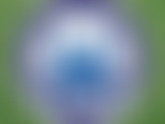 Nachlese außerordentliche Mitgliederversammlung