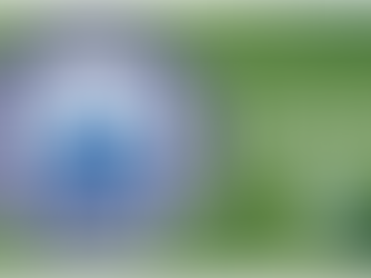 Damen spielen unentschieden