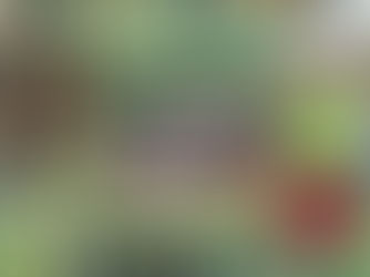 wU10-Team bei Odenwaldquelle Cup 2025