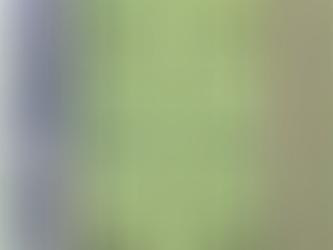 Ab sofort: Wiederaufnahme Trainingsbetrieb unter Auflagen