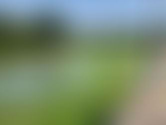 Ordentlich unter Druck(wasser)