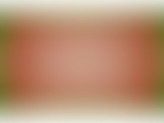 Kunstrasen-Spenden-Website