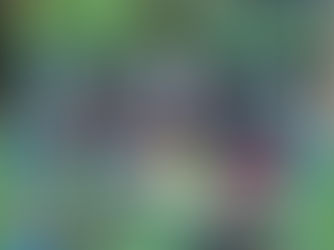 HCS wU10 trotzt der Hitze beim Spieltag in Kaiserslautern