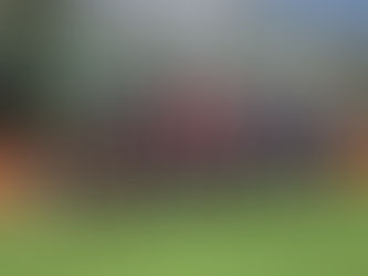 wU14: Hervorragender Start in die Hockeysaison