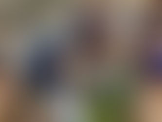 1:0 gegen Mainz sichert der wU12 den 5. Platz in der Oberliga