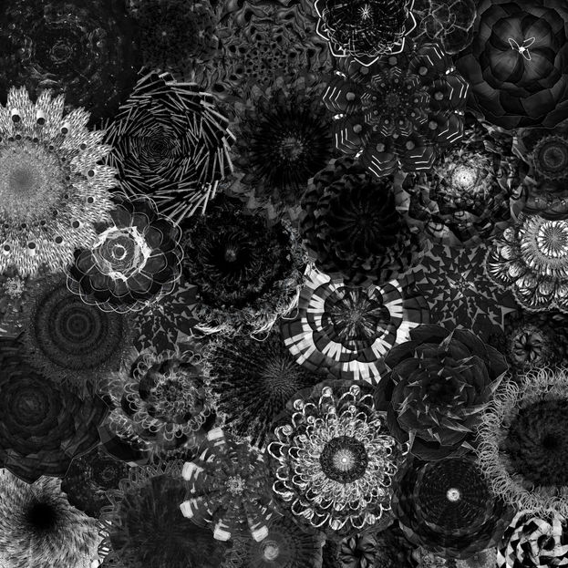 Bouquet Noir