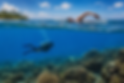 Swimming and scuba lessons Long Island ny.PNG