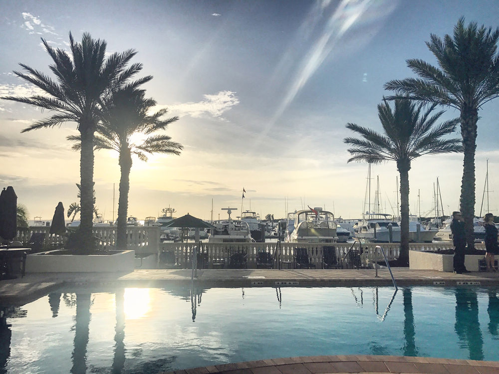 25 UNIQUE THINGS TO DO IN TAMPA FL intelligence overview