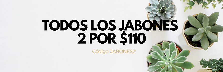 ENCABEZADO (3).png