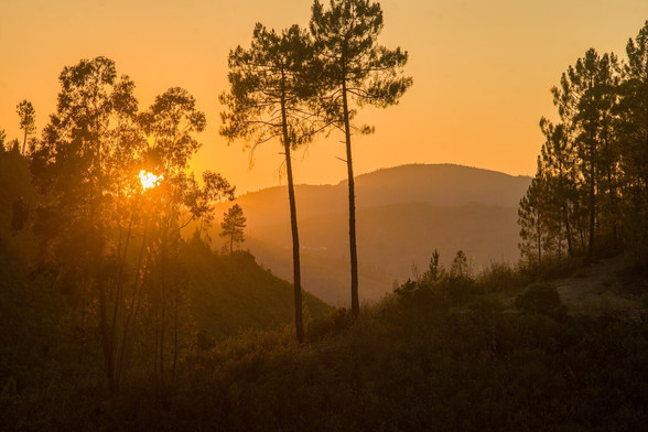 sunset-portugal-amieira.jpeg