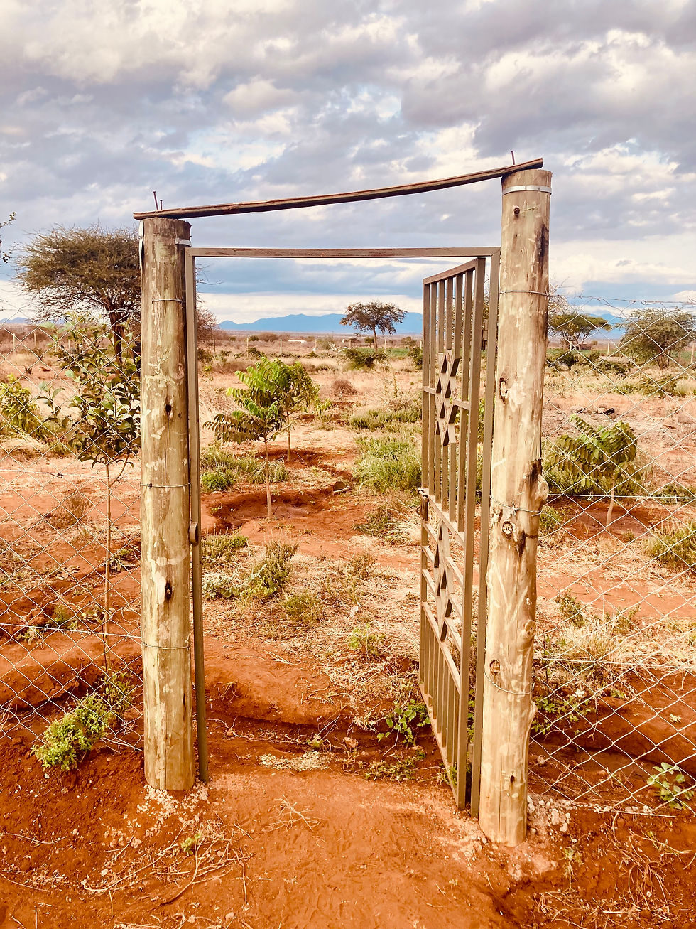A wooden gate