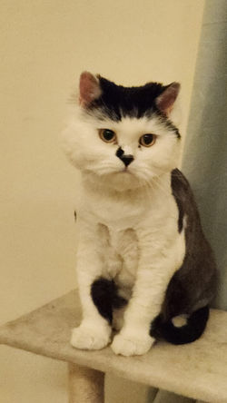 PHOTO-2025-03-04-21-12-33