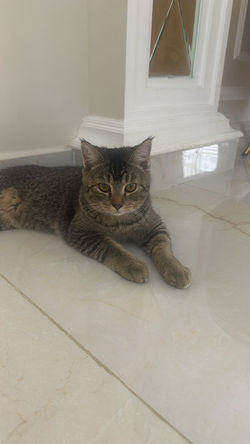 PHOTO-2025-02-16-14-06-38