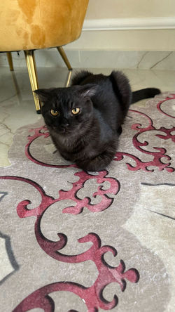 PHOTO-2025-02-16-14-16-59