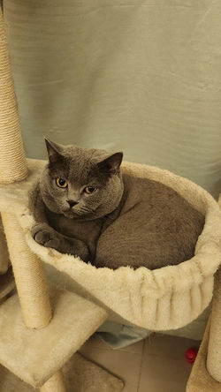 PHOTO-2025-03-04-21-12-17