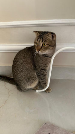 PHOTO-2025-02-16-14-23-13