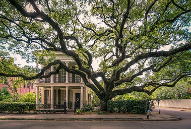 new-orleans-garden-district-usa_l.jpeg