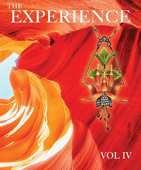 The EXPERIENCE Magazine VOL IV COVER V1.png
