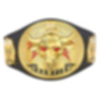 The Rock "Brahma Bull" Replica Championship Title Belt