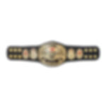 WWE Smoking Skull Mini Belt